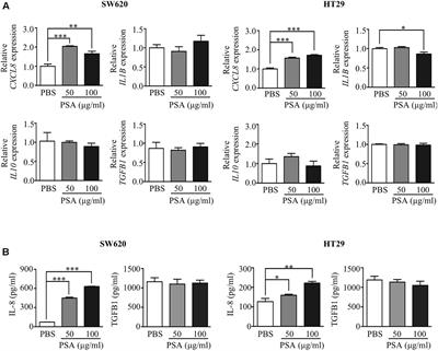 Toll-Like Receptor 2-Mediated Suppression of Colorectal Cancer Pathogenesis by Polysaccharide A From Bacteroides fragilis